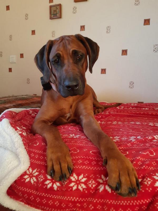 Rangoon uploaded   1 year/s ago