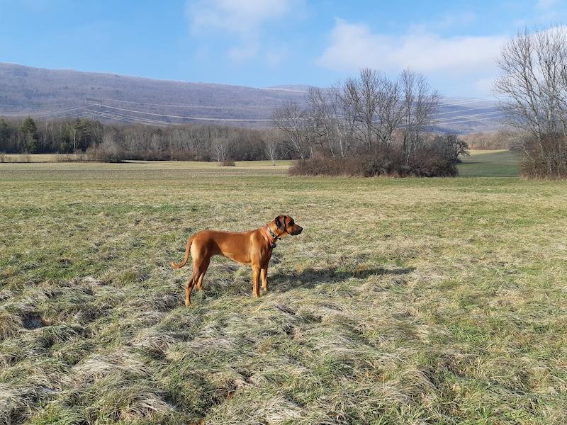 Rangoon uploaded   1 year/s ago