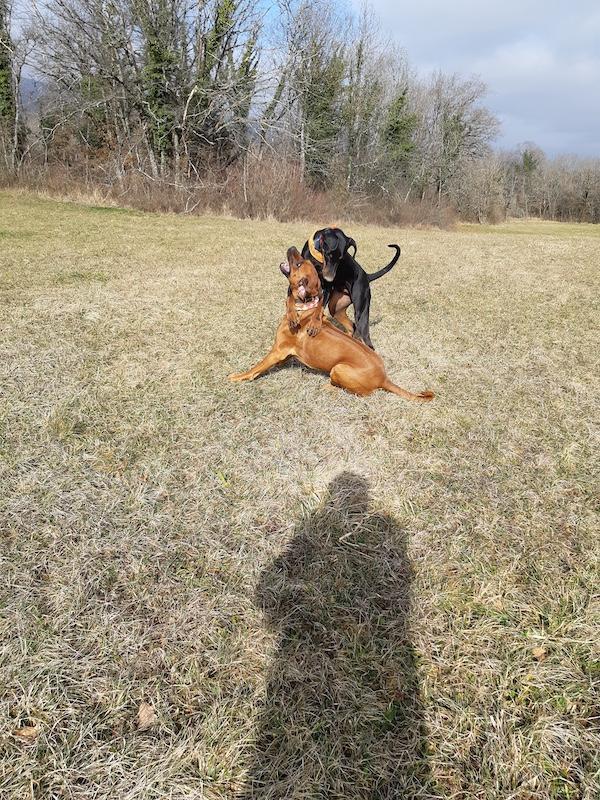 Rangoon uploaded   1 year/s ago