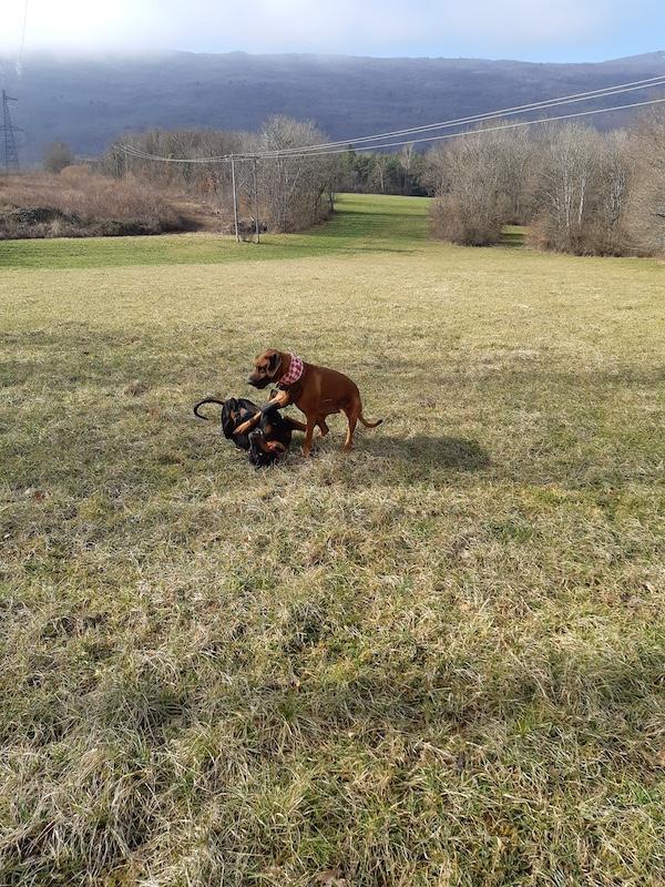 Rangoon uploaded   1 year/s ago