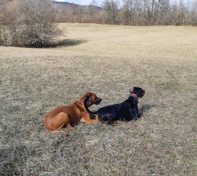 Rangoon uploaded   1 year/s ago