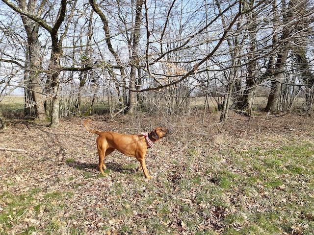 Rangoon uploaded   1 year/s ago