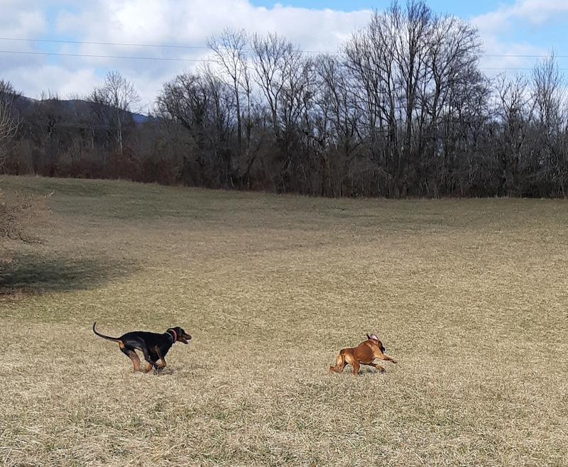 Rangoon uploaded   1 year/s ago