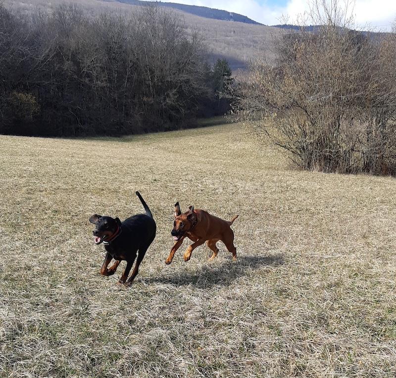 Rangoon uploaded   1 year/s ago