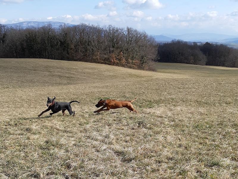 Rangoon uploaded   1 year/s ago