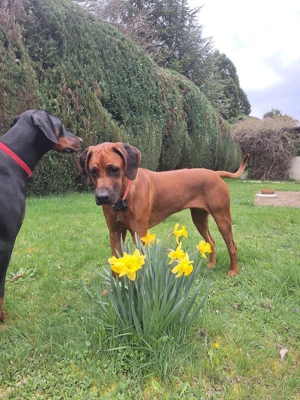 Rangoon uploaded   1 year/s ago