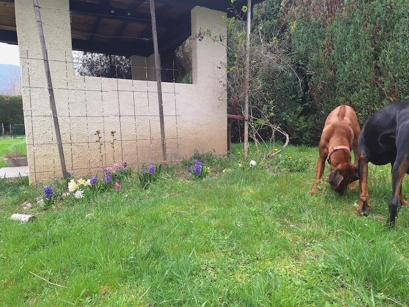 Rangoon uploaded   1 year/s ago