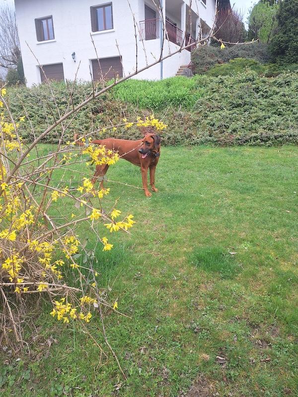 Rangoon uploaded   1 year/s ago