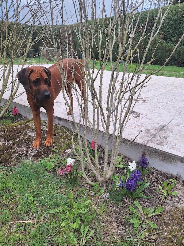 Rangoon uploaded   1 year/s ago