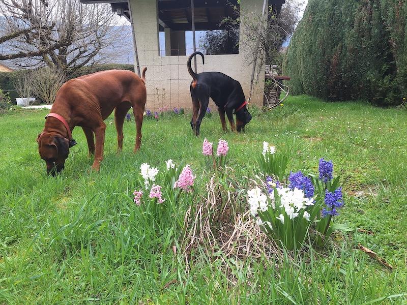 Rangoon uploaded   1 year/s ago