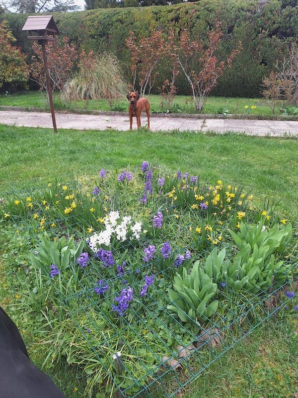 Rangoon uploaded   1 year/s ago