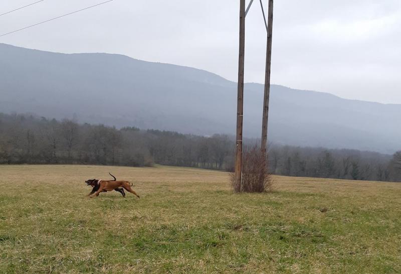 Rangoon uploaded   1 year/s ago