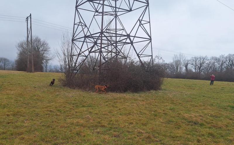 Rangoon uploaded   1 year/s ago