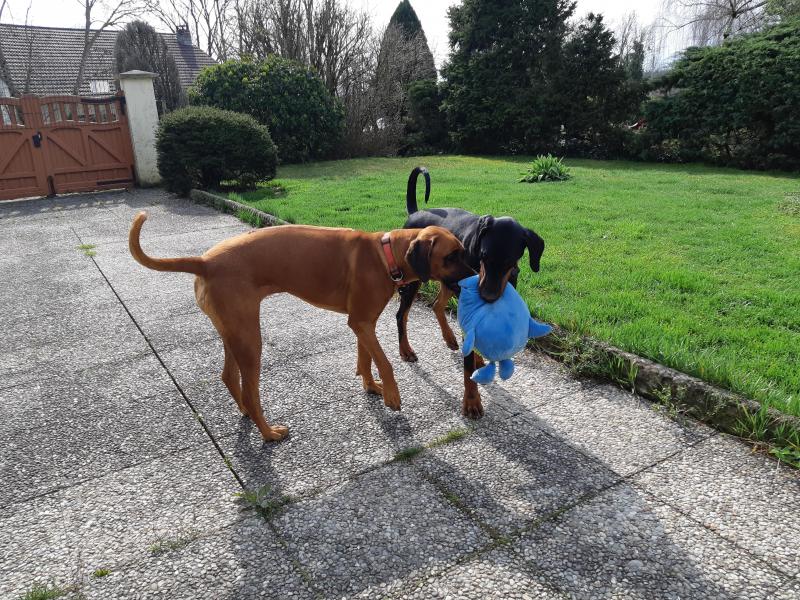 Rangoon uploaded   342  day/s  ago