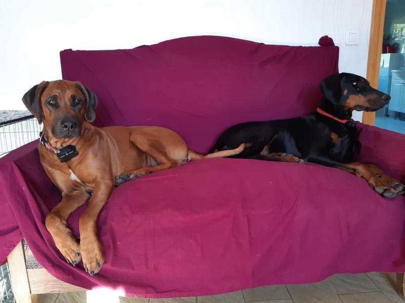 Rangoon uploaded   335  day/s  ago