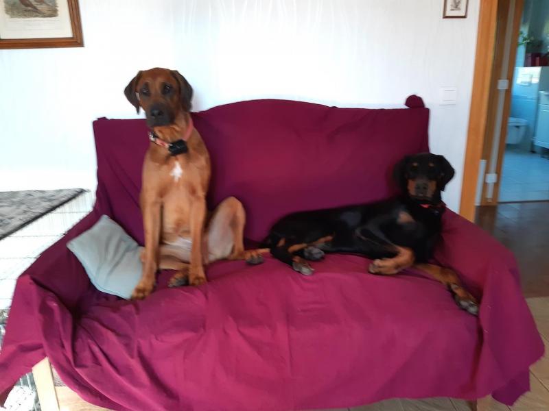 Rangoon uploaded   335  day/s  ago