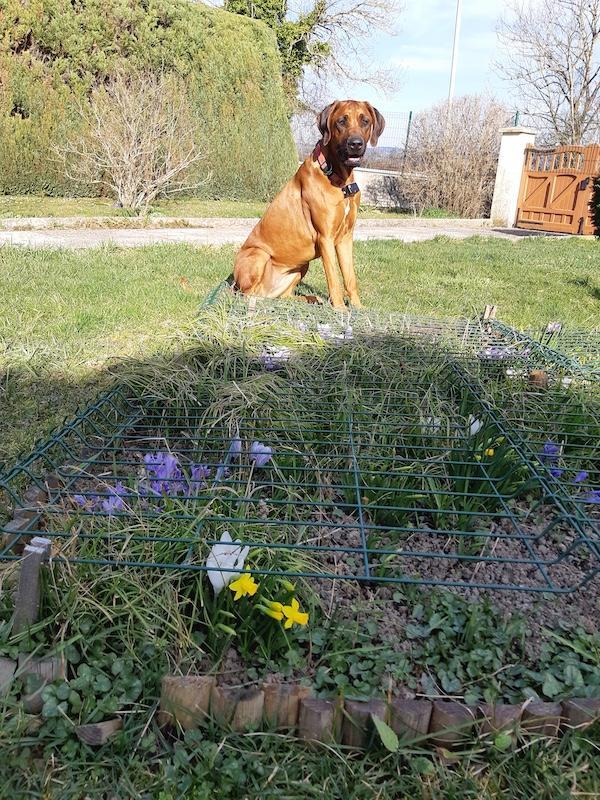 Rangoon uploaded   360  day/s  ago