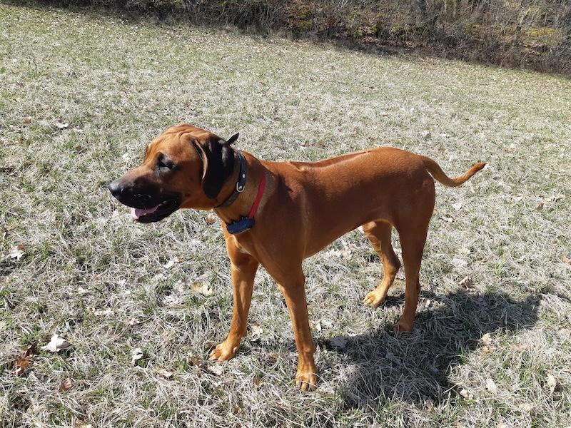 Rangoon uploaded   353  day/s  ago