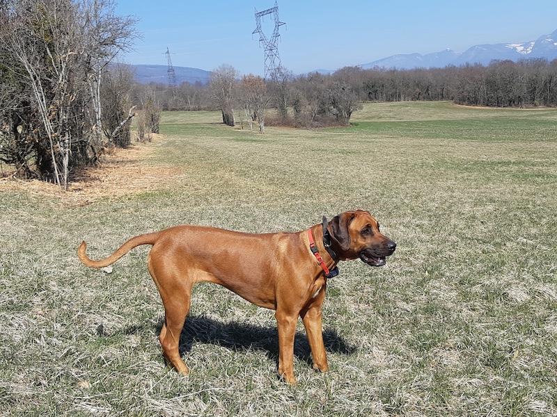 Rangoon uploaded   353  day/s  ago