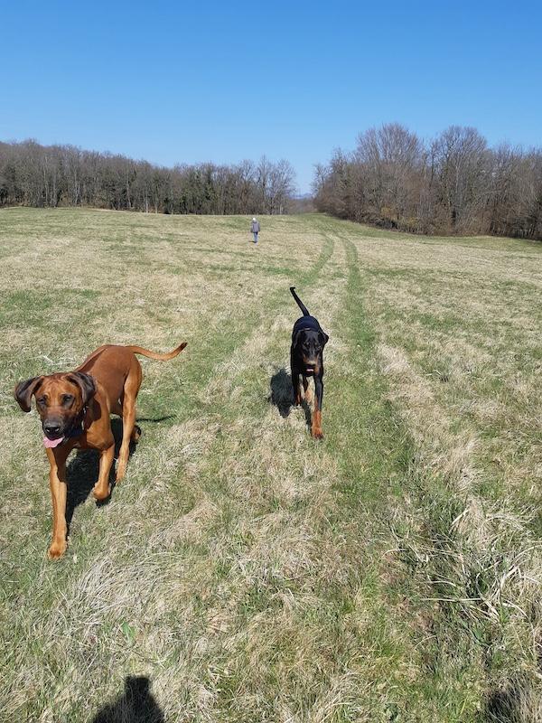 Rangoon uploaded   353  day/s  ago