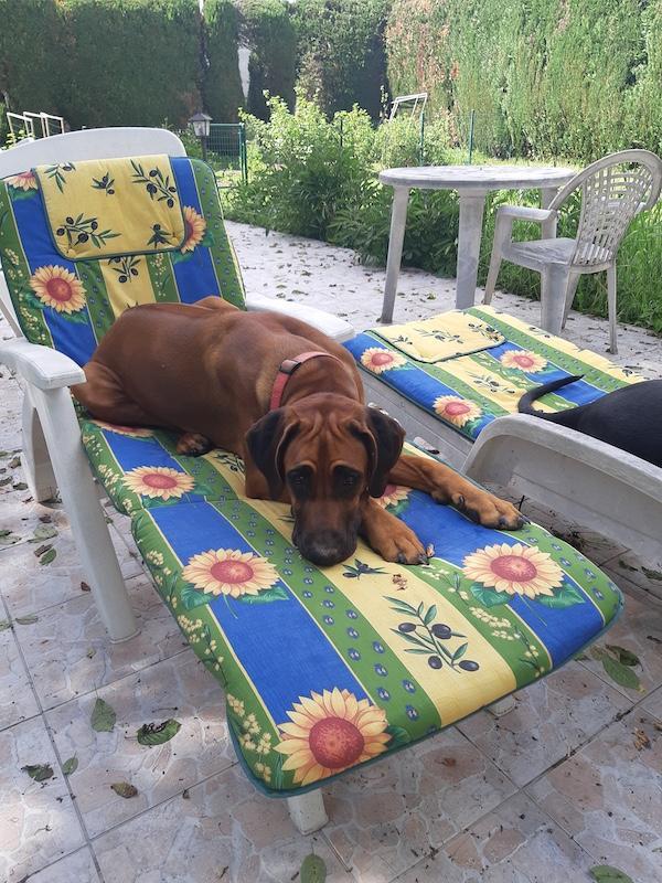 Rangoon uploaded   305  day/s  ago