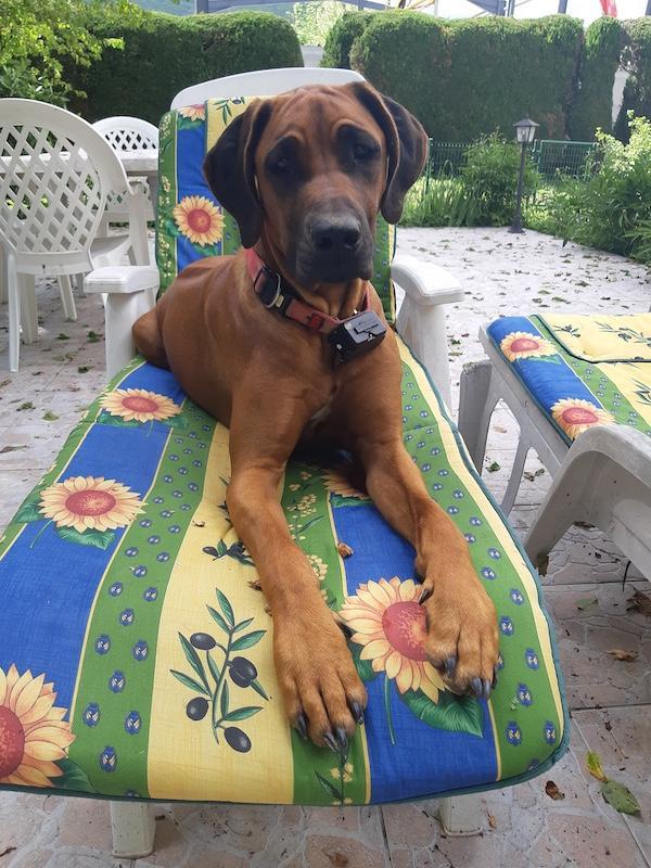 Rangoon uploaded   305  day/s  ago