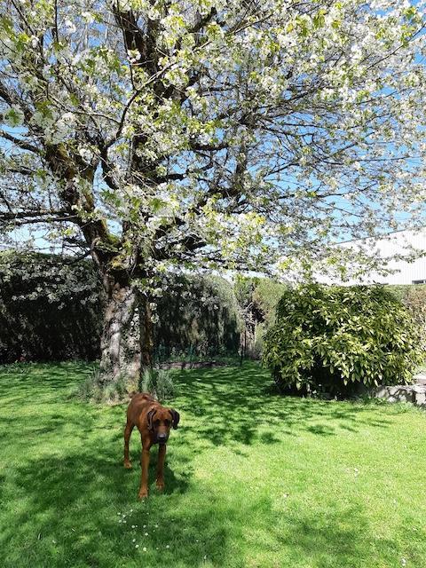 Rangoon uploaded   327  day/s  ago