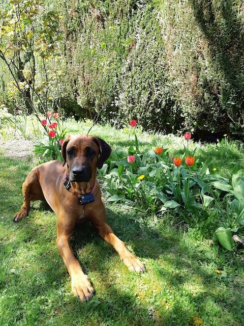 Rangoon uploaded   327  day/s  ago