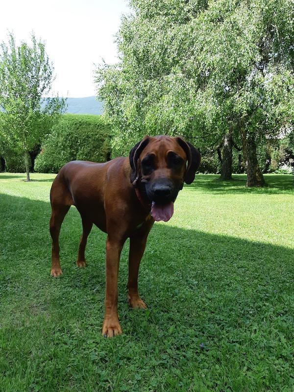 Rangoon uploaded   283  day/s  ago