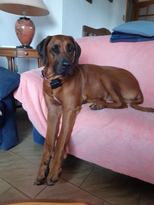 Rangoon uploaded   280  day/s  ago