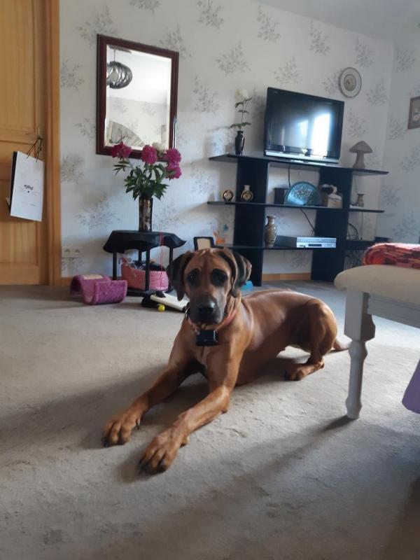 Rangoon uploaded   298  day/s  ago