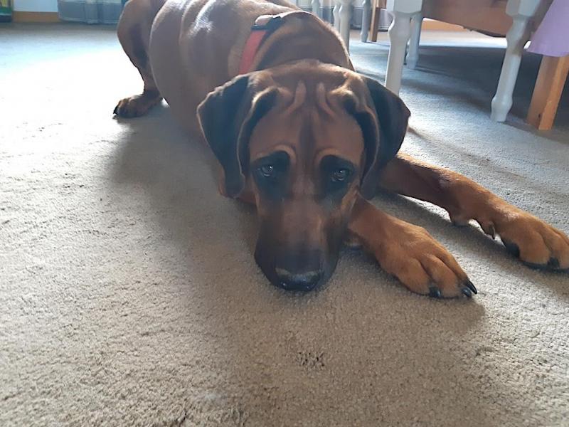 Rangoon uploaded   298  day/s  ago