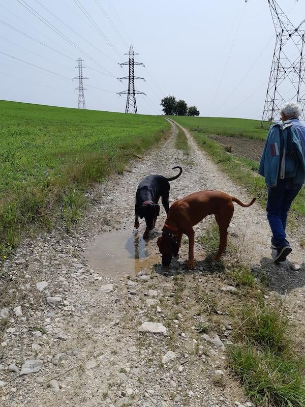 Rangoon uploaded   294  day/s  ago