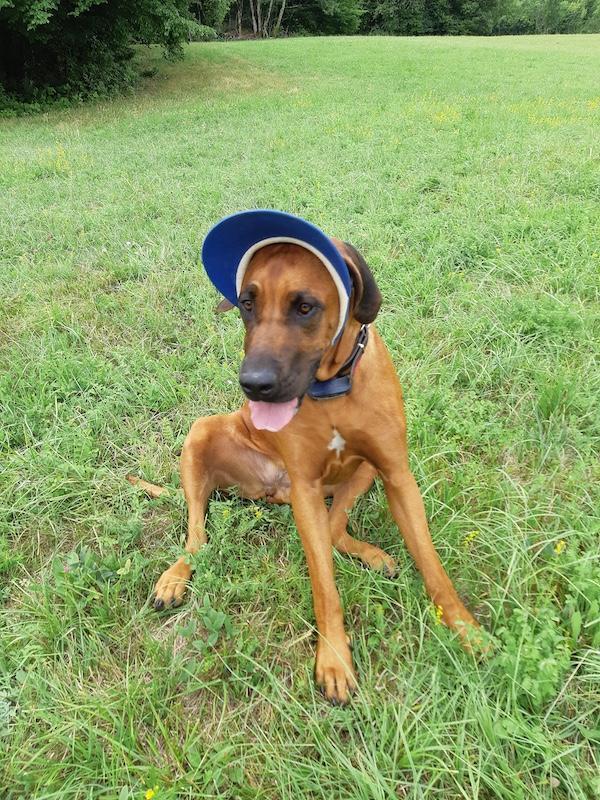 Rangoon uploaded   257  day/s  ago