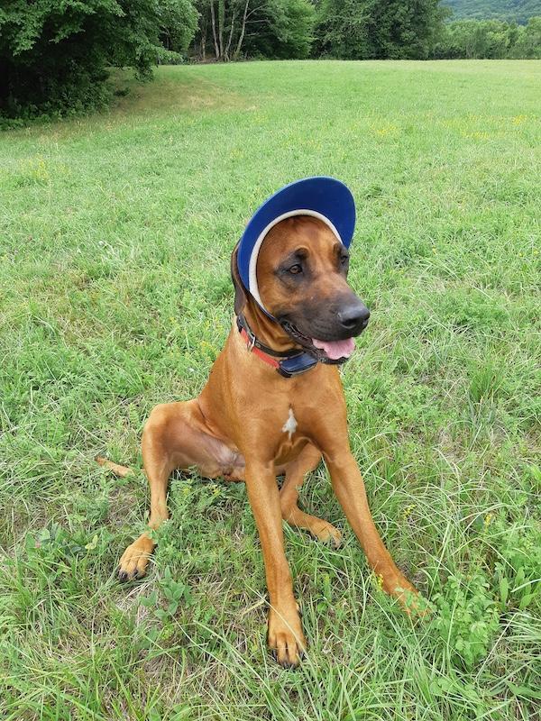 Rangoon uploaded   257  day/s  ago