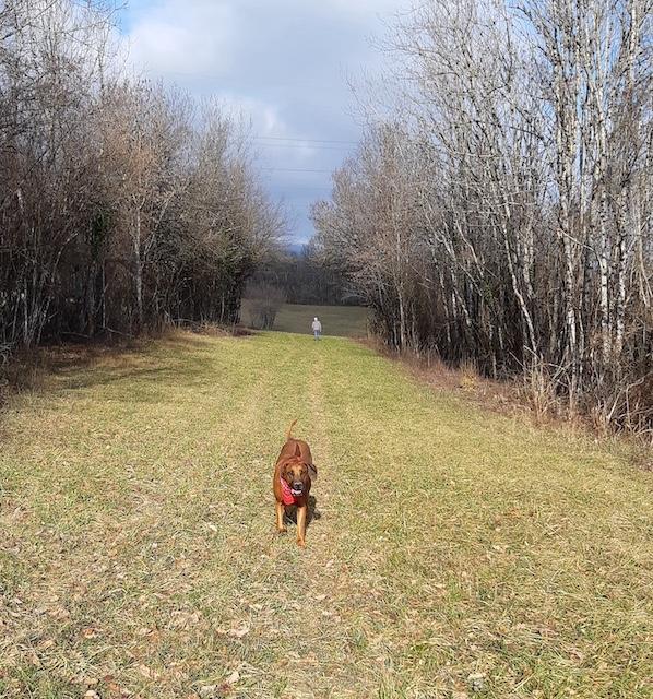 Rangoon uploaded   95  day/s  ago