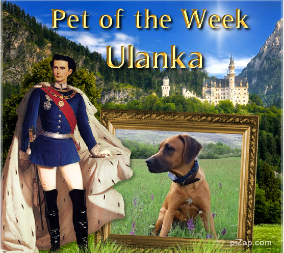 Rangoon uploaded   164  day/s  ago