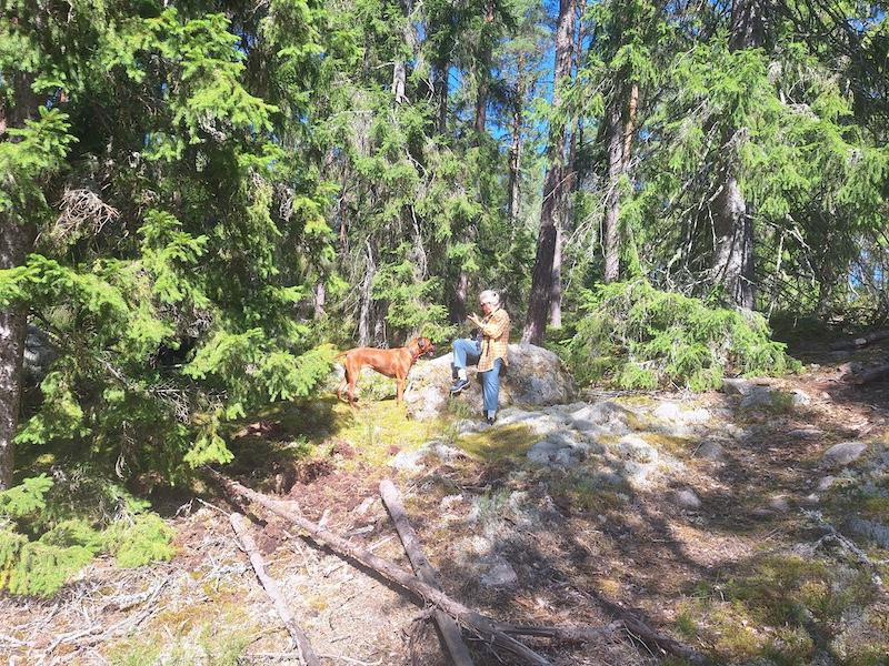 Rangoon uploaded   198  day/s  ago