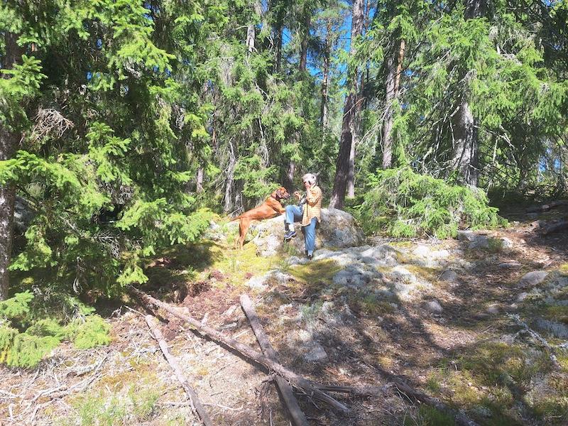 Rangoon uploaded   198  day/s  ago