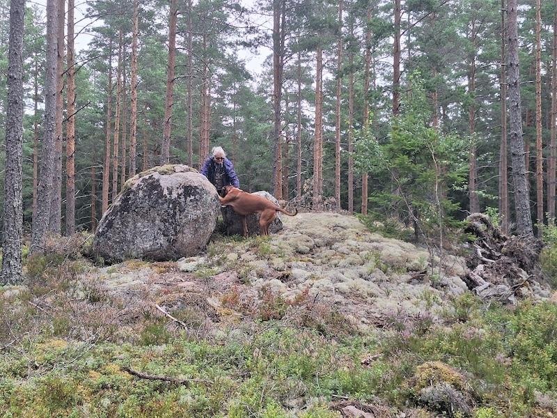 Rangoon uploaded   198  day/s  ago