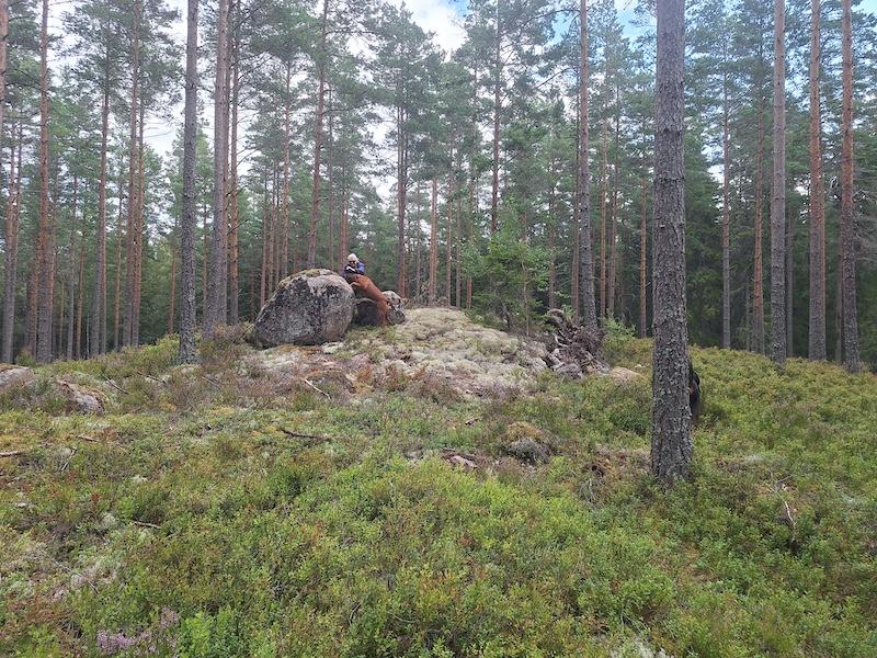 Rangoon uploaded   198  day/s  ago