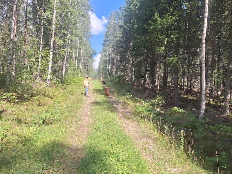 Rangoon uploaded   252  day/s  ago