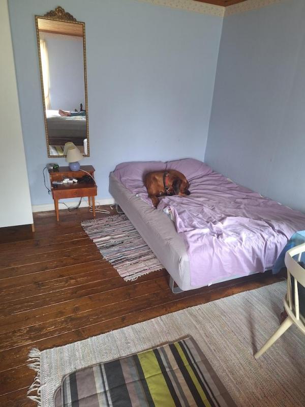 Rangoon uploaded   252  day/s  ago