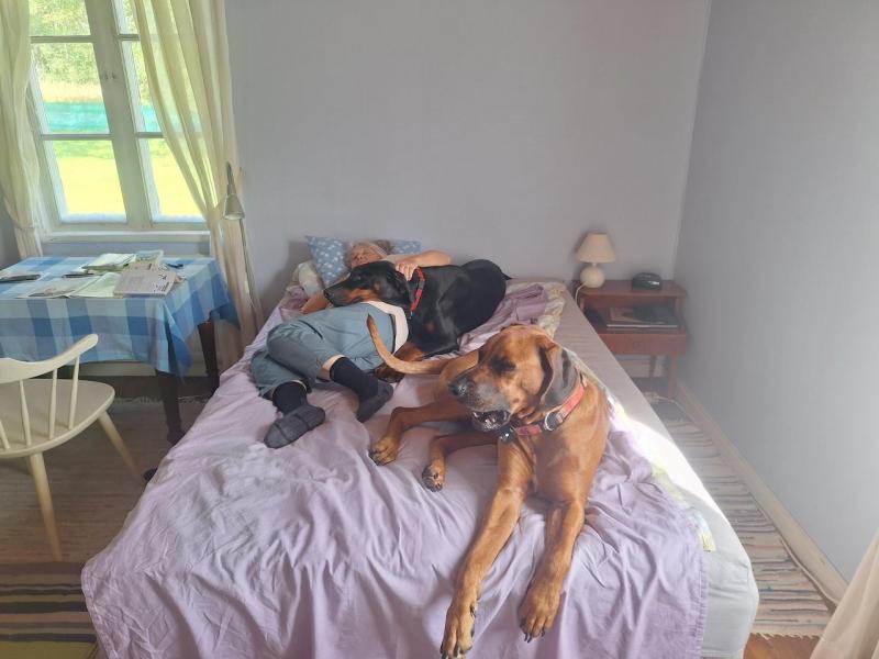 Rangoon uploaded   252  day/s  ago