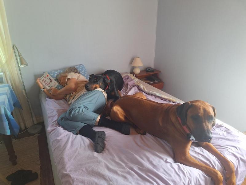 Rangoon uploaded   252  day/s  ago