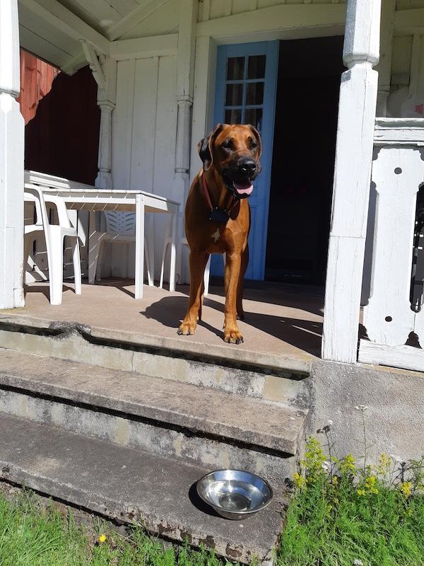 Rangoon uploaded   252  day/s  ago