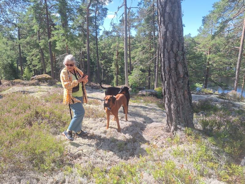 Rangoon uploaded   242  day/s  ago