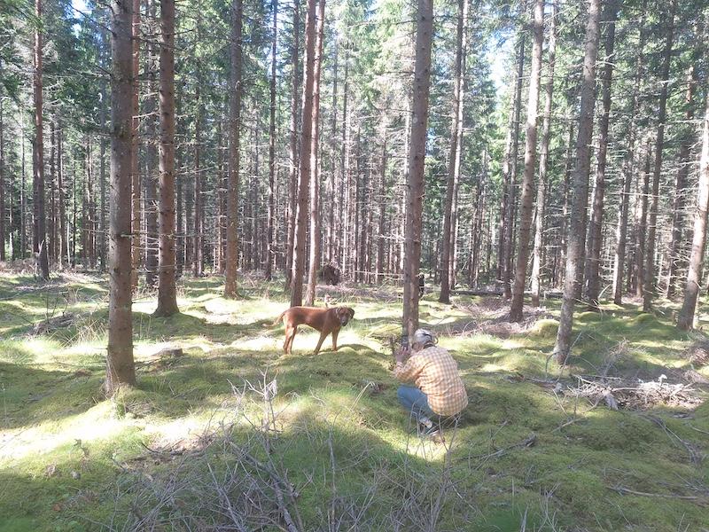 Rangoon uploaded   235  day/s  ago