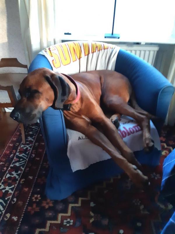 Rangoon uploaded   214  day/s  ago