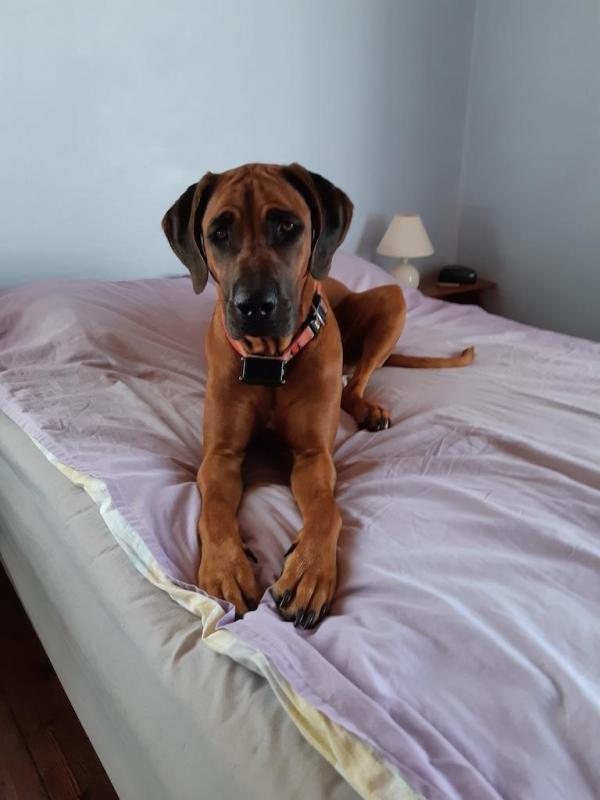 Rangoon uploaded   214  day/s  ago